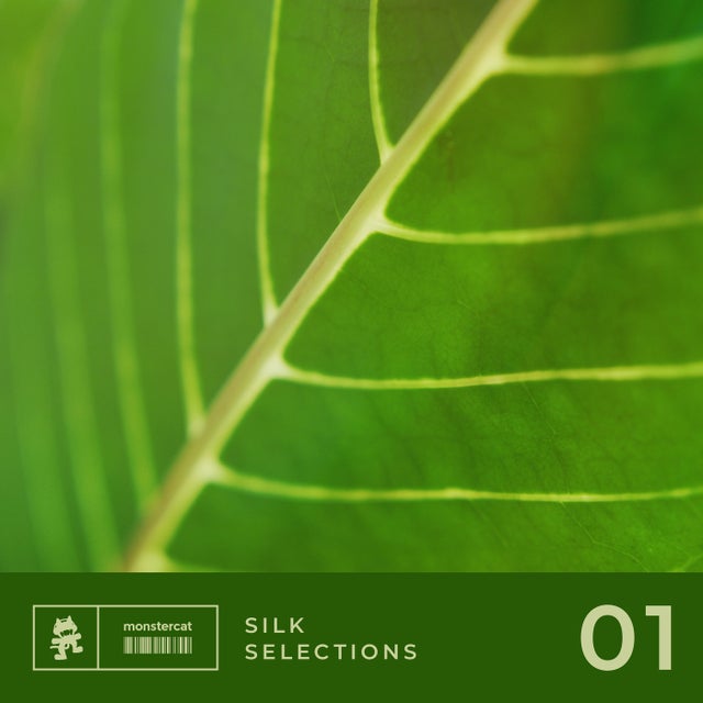 Silence Falls album art
