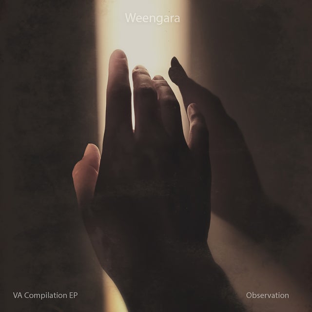 Dust album art