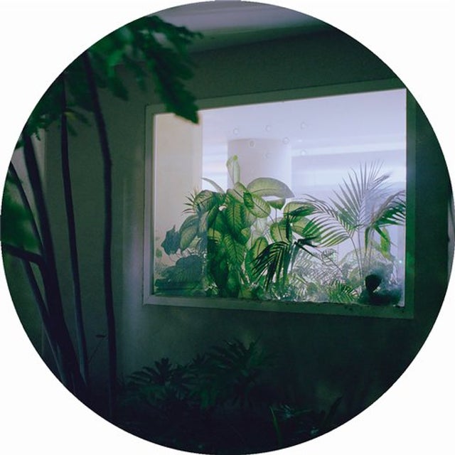 Haus am Pazifik album art