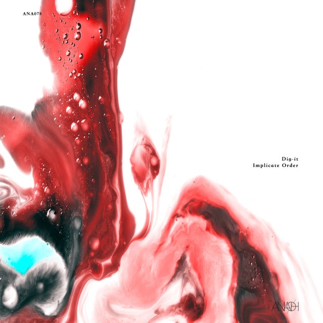 Implicate Order album art