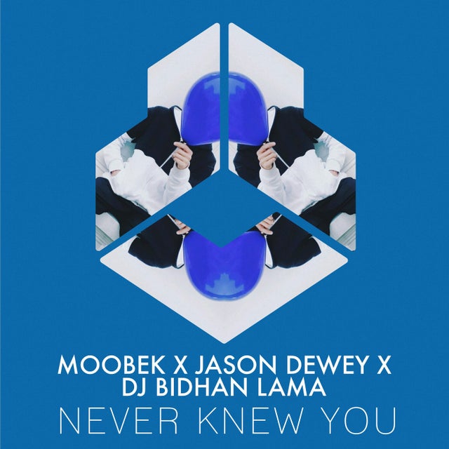 Never Knew You - Extended Mix album art