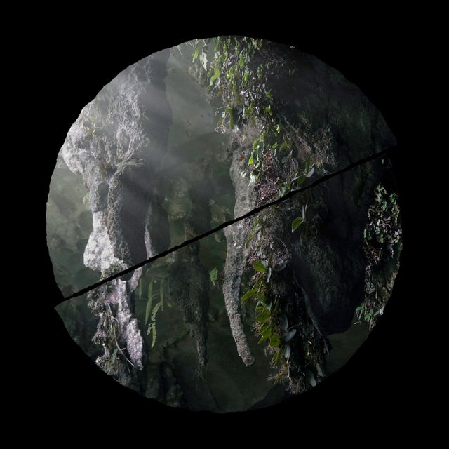 Winged Chamber Music album art