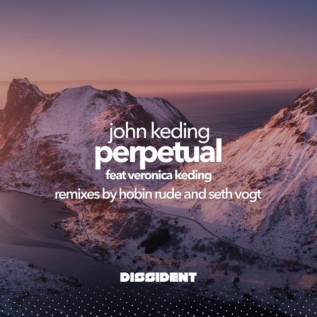 Perpetual - Hobin Rude Extended Remix album art