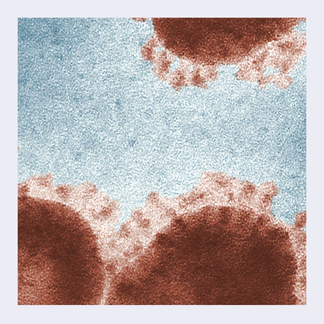 Virus A album art