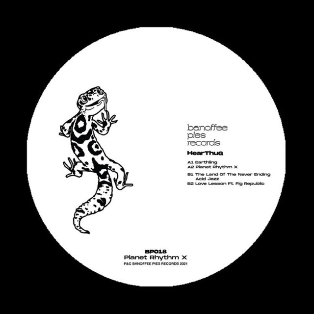 Earthling album art