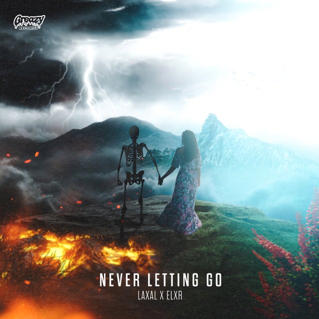 Never Letting Go - Pro Mix album art