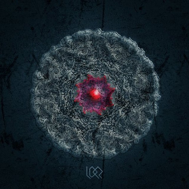 Der Apfelkern album art