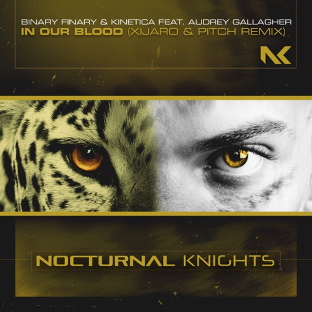 In Our Blood feat. Audrey Gallagher - XiJaro & Pitch Extended Remix album art