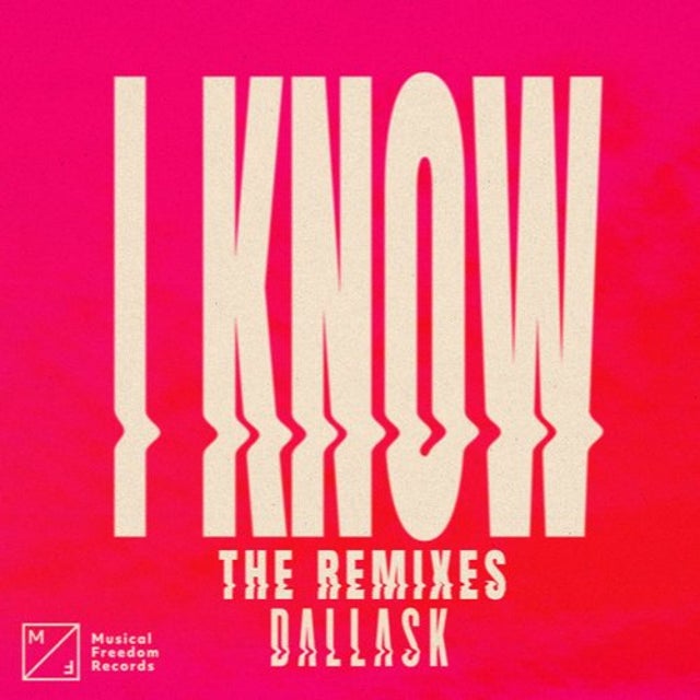 I Know - DLMT Extended Remix album art