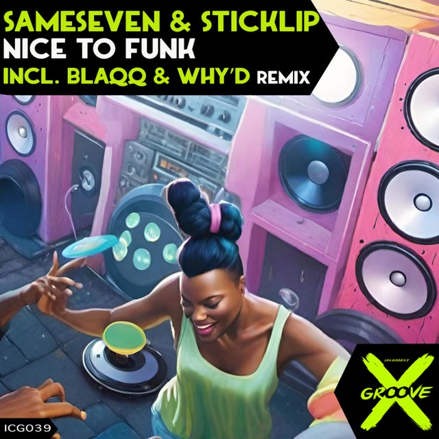 Nice to Funk - Blaqq & Why'd Remix album art