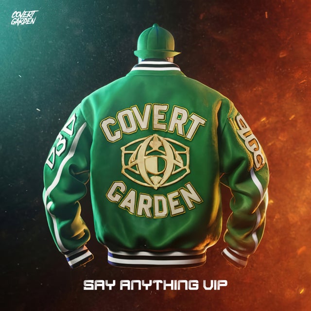 Say Anything vip album art
