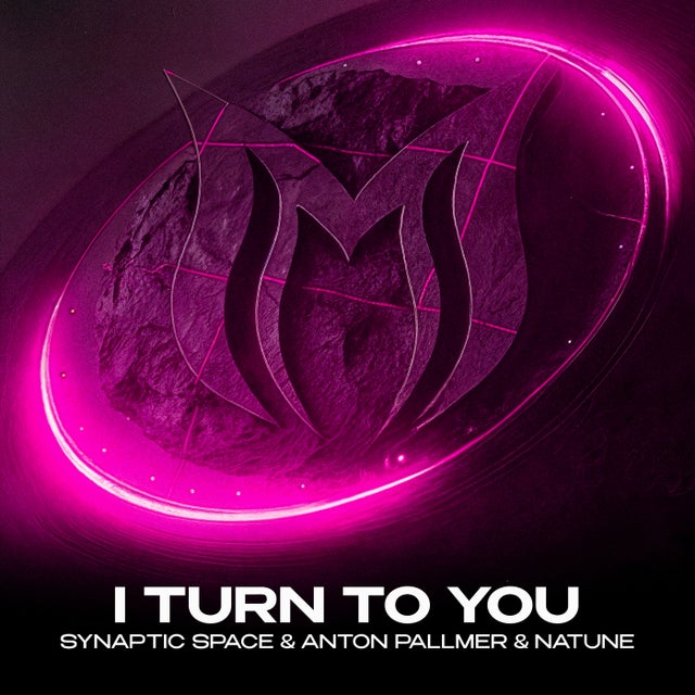 I Turn to You - Extended Mix album art