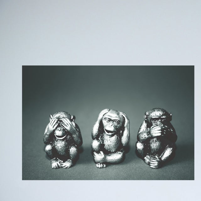 Systema Naturae album art