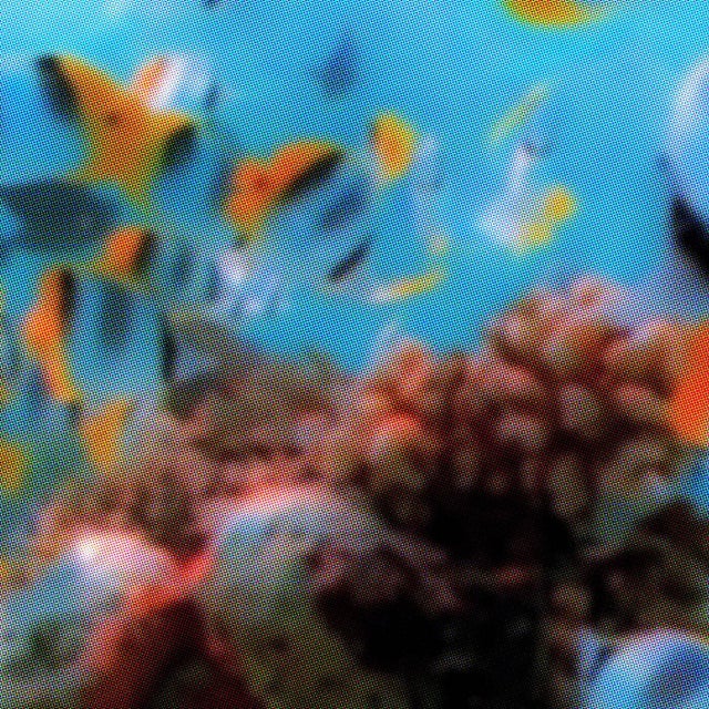 Fountains album art