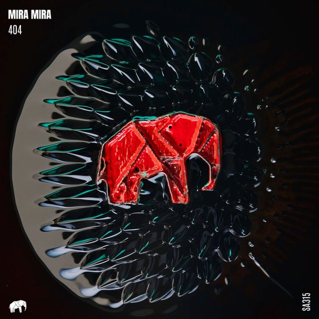 404 album art