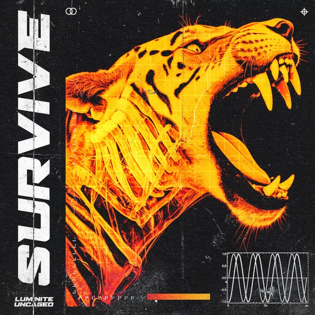 Survive - Pro Mix album art