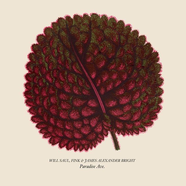 Slo-Mo Life album art