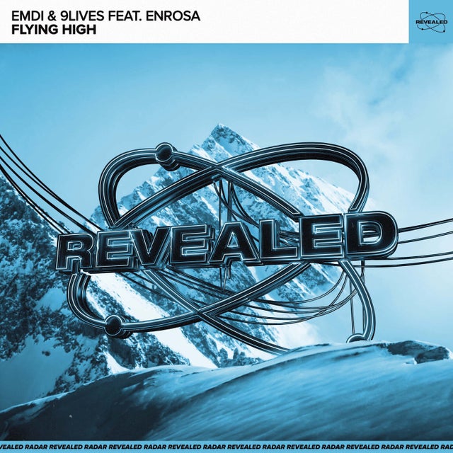 Flying High - Extended Mix album art