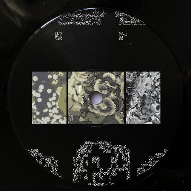 Proxima album art