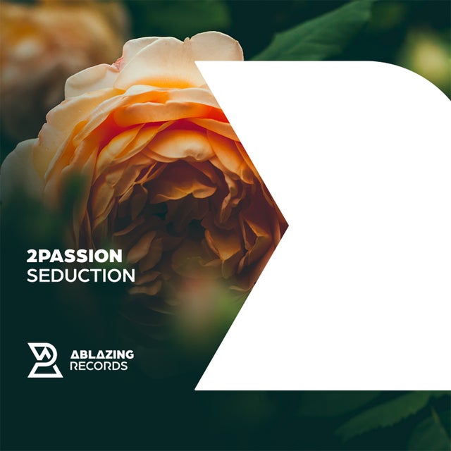 Seduction - Extended Mix album art