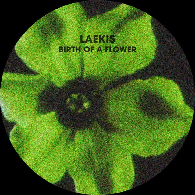 Birth Of A Flower album art