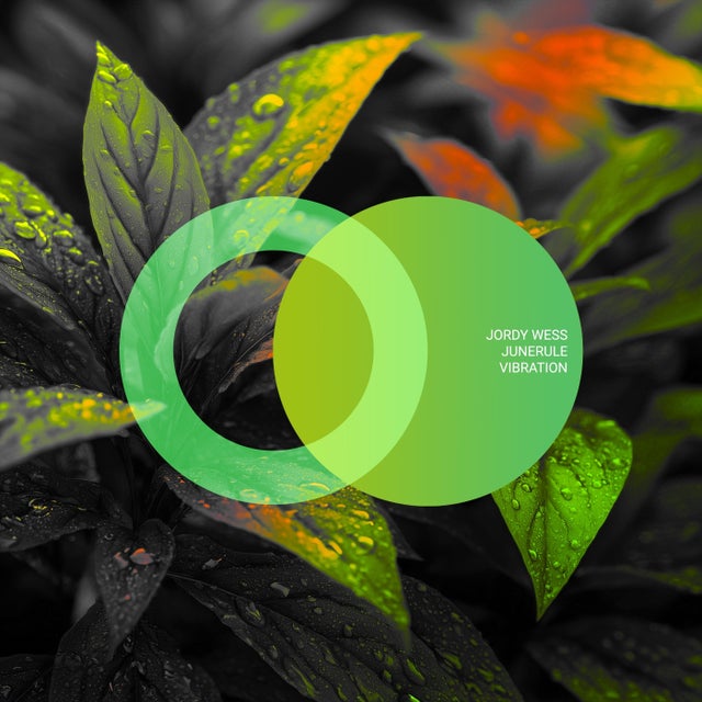 Vibration album art