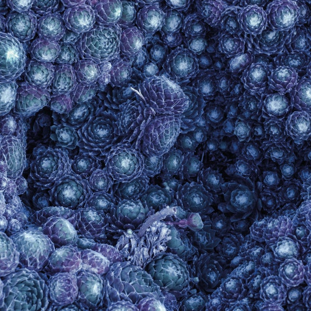 Incremental album art