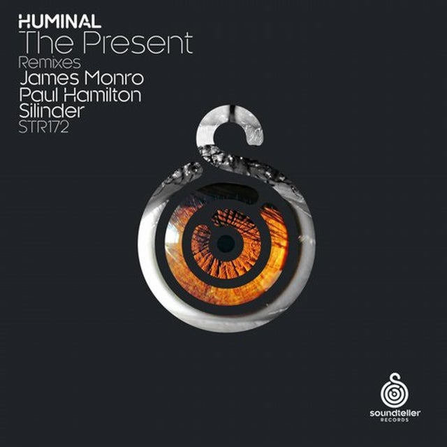 The Present - Paul Hamilton Remix album art