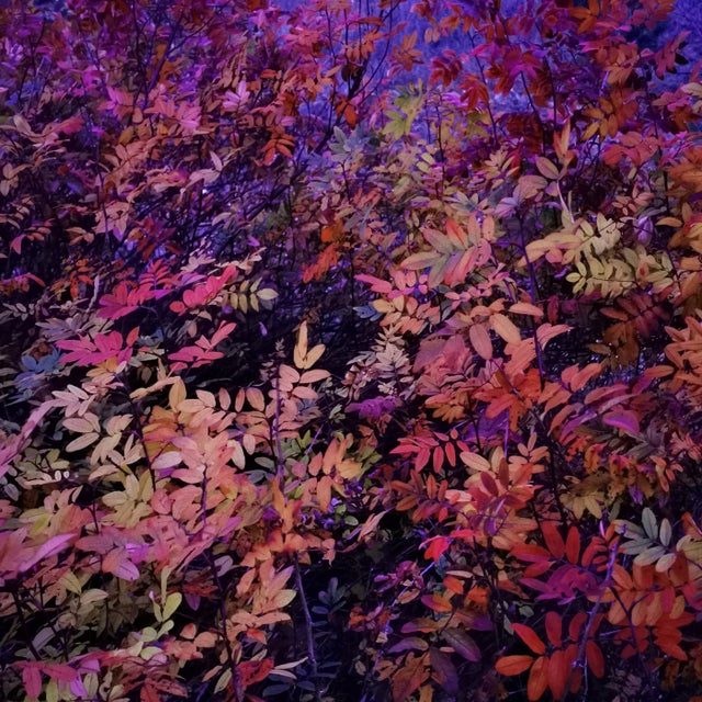 Void album art