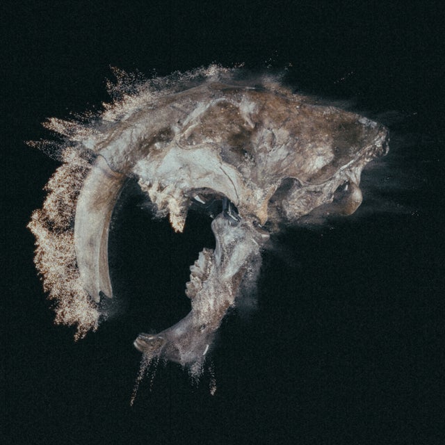 Sabretooth album art