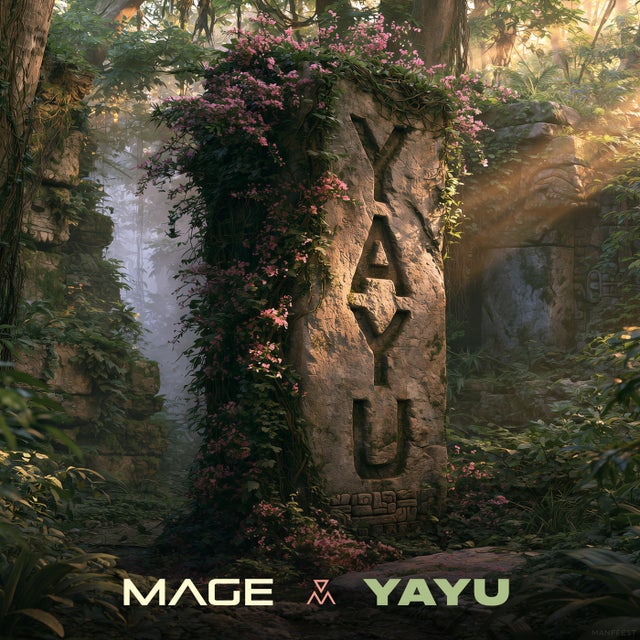 Yayu album art