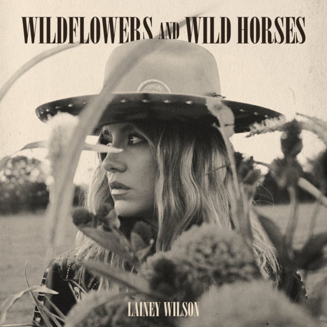 Wildflowers and Wild Horses - Single Version album art