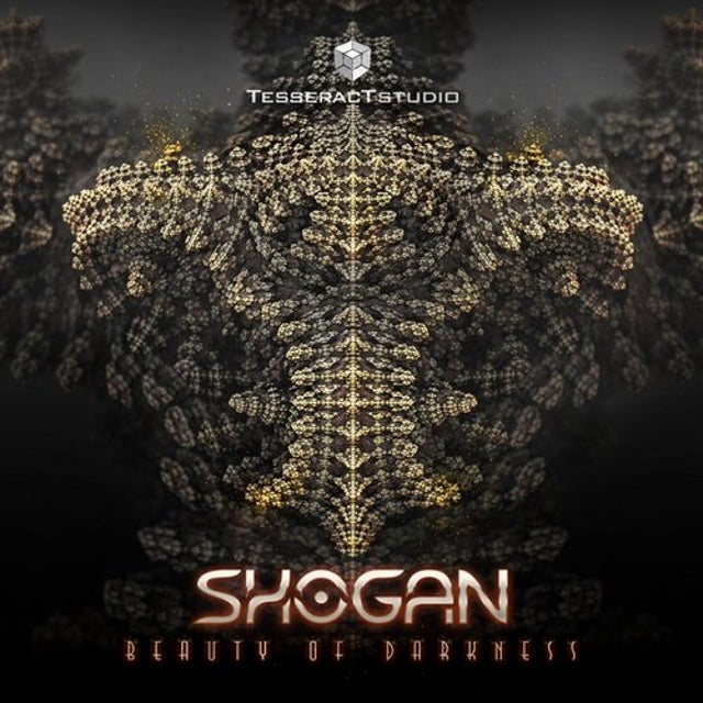 Beauty Of Darkness album art