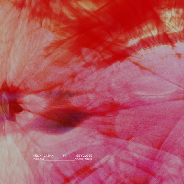 Dream Come True album art