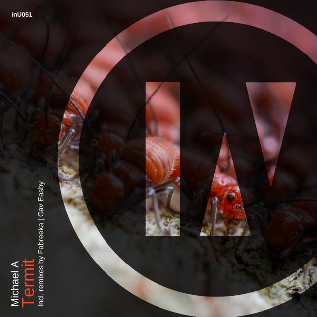 Termit album art