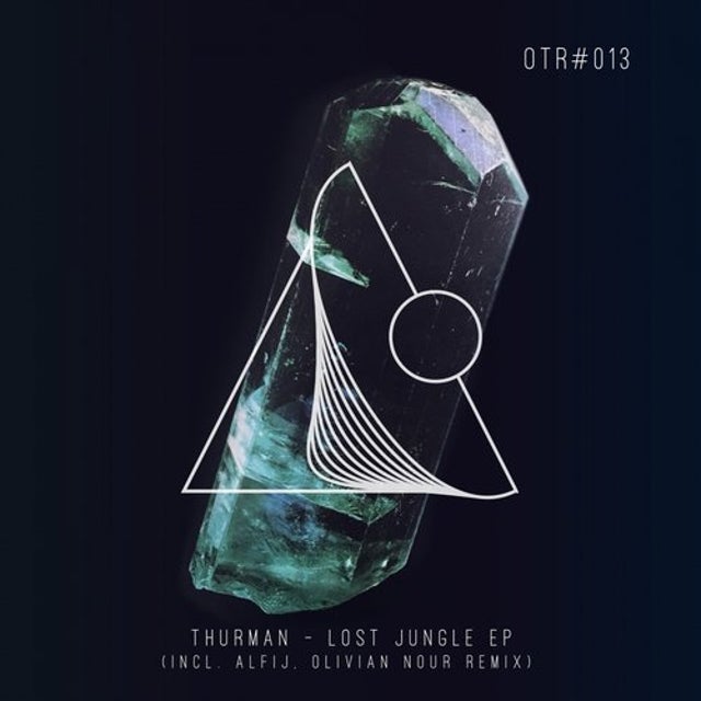 Lost Jungle - Alfij Remix album art