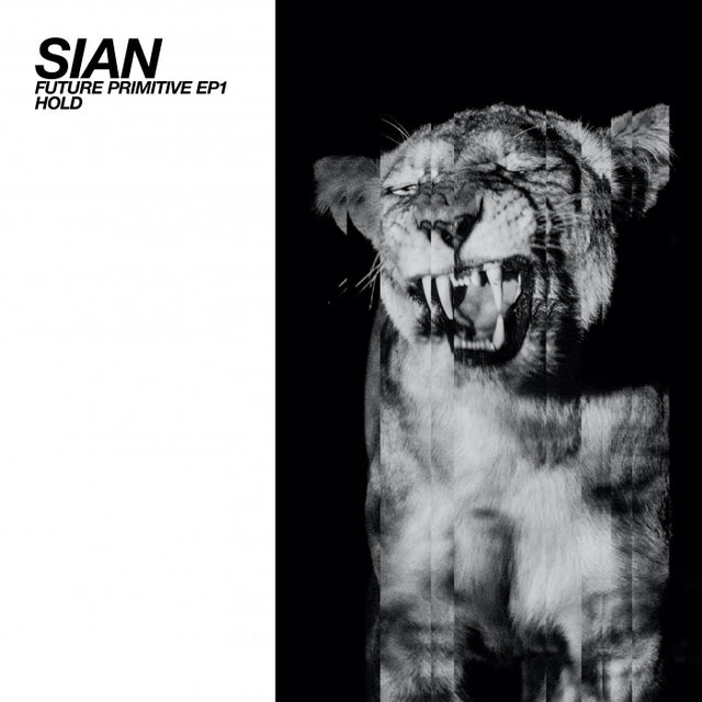 You Got A Hold On Me album art
