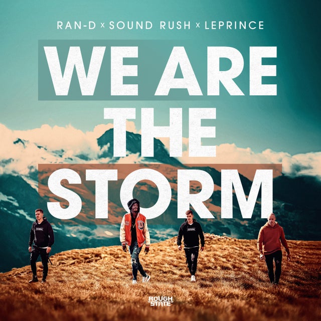 We Are The Storm - Extended Mix album art