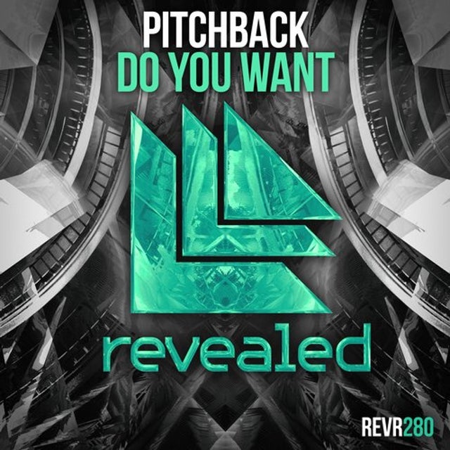 Do You Want - Extended Mix album art