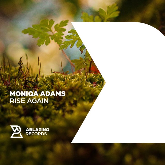 Rise Again - Extended Mix album art