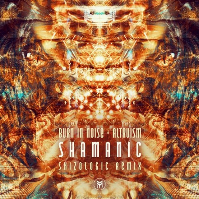 Shamanic - Skizologic Remix album art