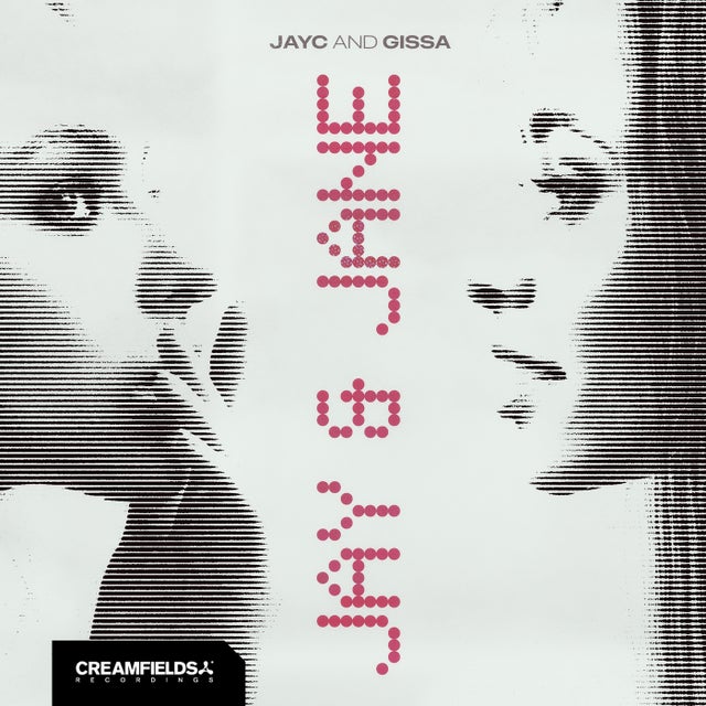 JAY & JANE - Extended Mix album art
