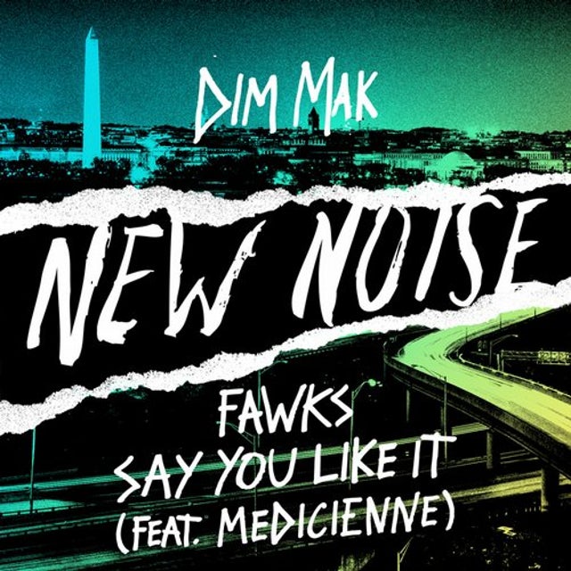Say You Like It (feat. Medicienne) album art