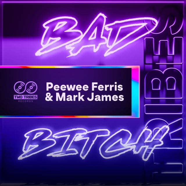 Bad Bitch - Album Version album art