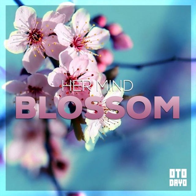 Blossom album art