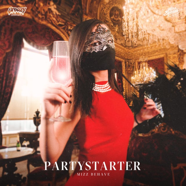 Partystarter - Pro Mix album art