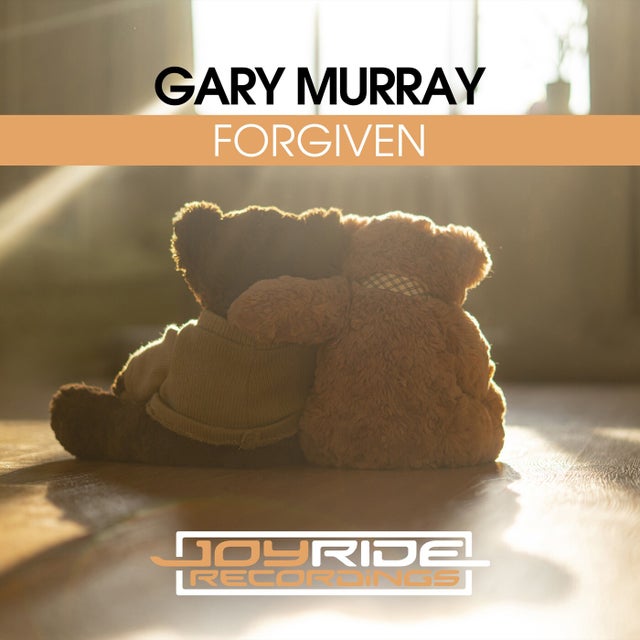 Forgiven - Instrumental Mix album art