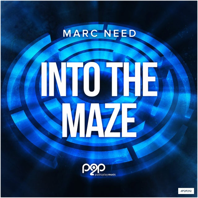 Into the Maze - Extended Mix album art