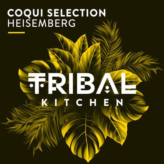 Heisemberg album art