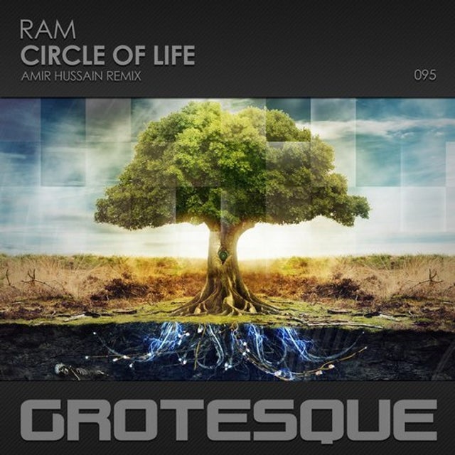 Circle of Life - Amir Hussain Extended Remix album art